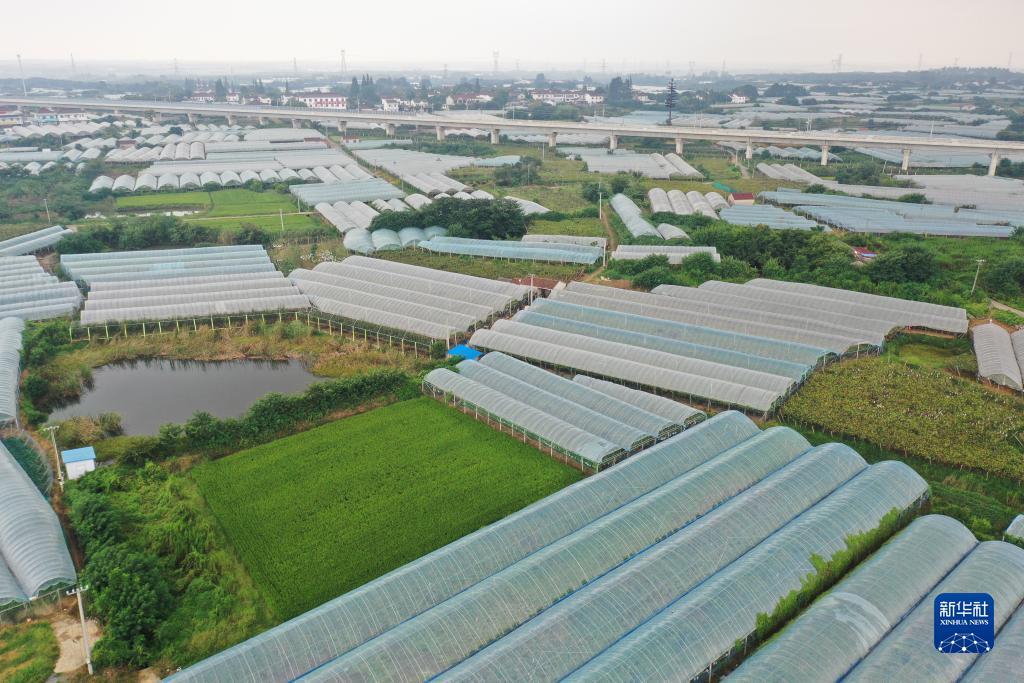 噢门永利总站 下载